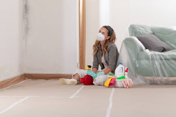 Reliable Mold Cleanup contractor in Petersburg, IL by Cheap Mold Removal